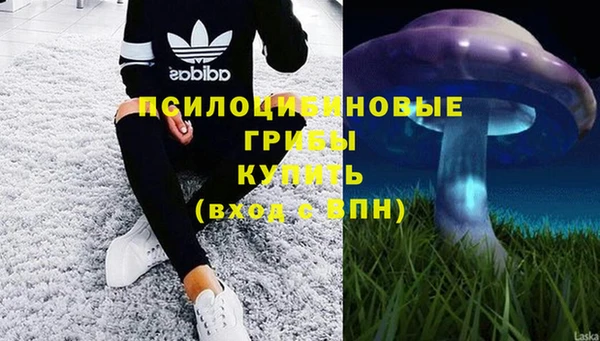 марки nbome Вяземский
