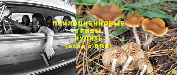 Альфа ПВП Вязьма