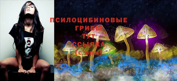 марки nbome Вяземский
