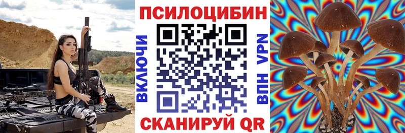 Галлюциногенные грибы Psilocybine cubensis  Чистополь 